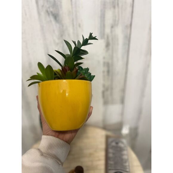 Sage bundle - Picture 11 of 12